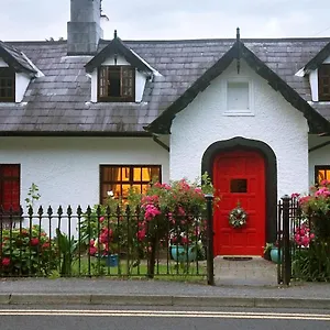  Couette-café Ivy Irlande